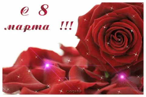 Фото 5 з 5: 8 - Березня