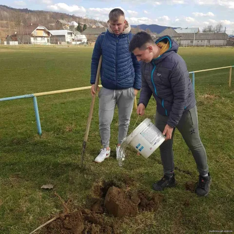 Фото 8 з 11: Посади дерево